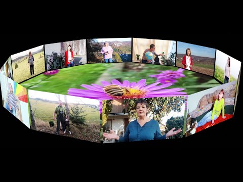 Per Klick zum Gig Nr. 5 - What a wonderful world