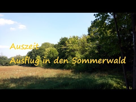 SinnCoach Auszeit 2 -  Geführte Kurzmeditation (Fantasiereise)