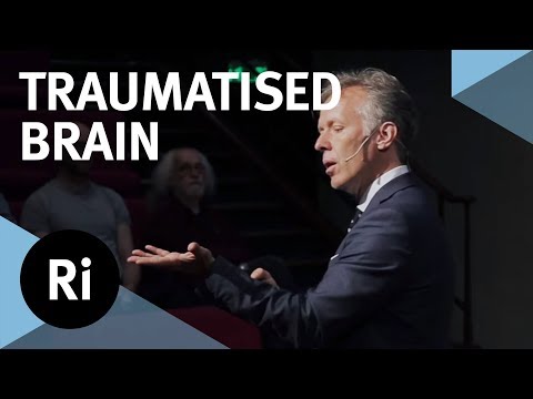 PTSD, Psychological Trauma and Head Injuries