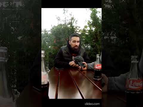 Fler hupt bei Bushido Interview #shorts #bushido #fler #rooz