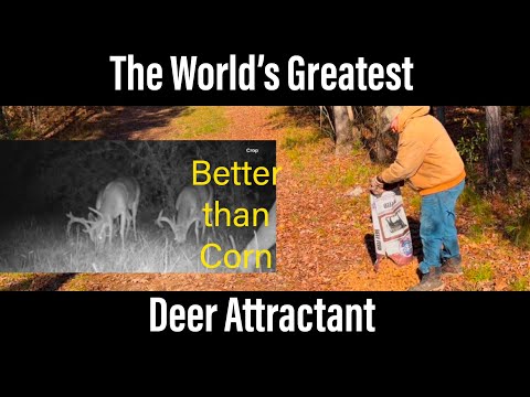 The World’s Greatest Deer Attractant. Better than Corn