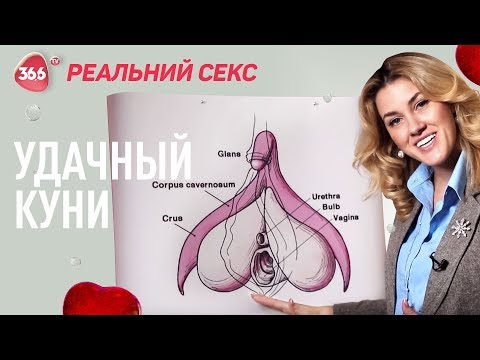 Правильный кунилингус девушке: как сделать или 12 секретов и техник лучшего куни с оргазмом