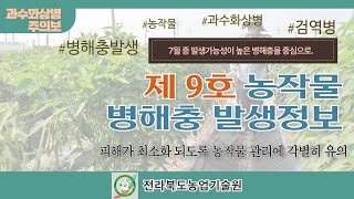 농작물 병해충 발생정보 9호 (2022.07.21~2022.08.03)