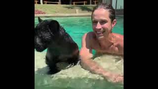 Download lagu REAL TARZAN LIVES WITH MONKEYS AND TIGERS. Kody Antle (Off Top) mp3 Download lagu REAL TARZAN LIVES WITH MONKEYS AND TIGERS. Kody Antle (Off Top) mp3