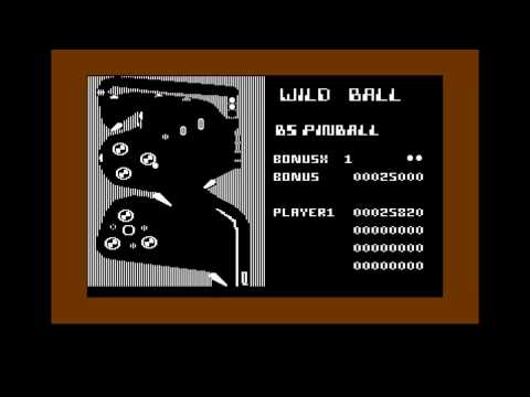 Commodore 64 Crypt - Wild Ball