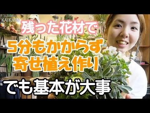 夏から初霜が降りるまで色が鮮やかになるように、2月にベランダに植える予定です。  庭園