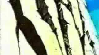 Ill niño - Circle The Drain(dbz)