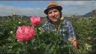 Gardening Australia Weston Farm 2016