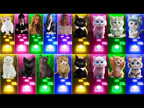 📹 ALL CUTE CATS PT.5 - IMAGINE DRAGONS ENEMY - JISOO FLOWER   SHAKIRA WAKA WAKA - LISA MONEY
