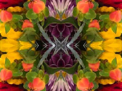 Domestic Blues (by the Bap Kennedy Trio live in Italy, 2014)