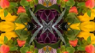 Domestic Blues (by the Bap Kennedy Trio live in Italy, 2014)