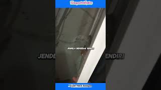 Download lagu Before even entering the house, this woman experiences something strange at home mp3
