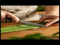 ASMR Aloe Vera Slicing Satisfying Sounds For Sleep Relaxation