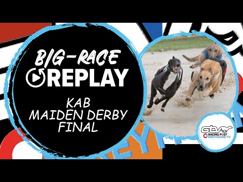 2023 KAB Maiden Derby Final - Drive On Lad | Greyhound Race Replays | 2023 Big Finals