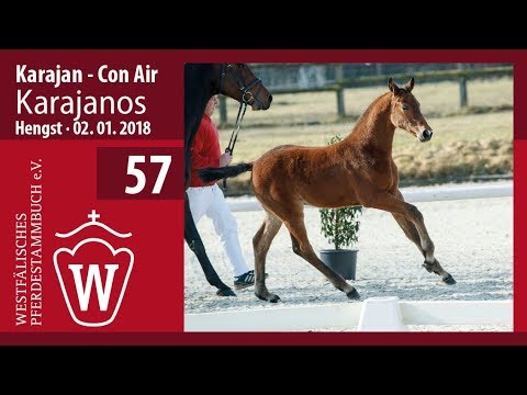 57 Karajanos HF v. Karajan - Con Air