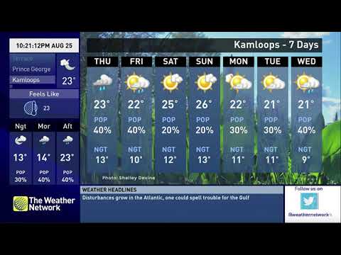 TWN HD Local Forecast - August 26th, 2021