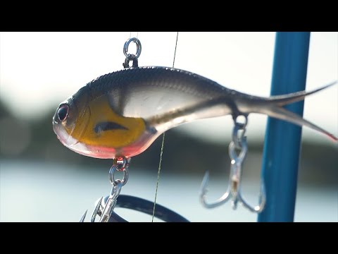 Nomad Design Vertrex soft vibe casting technique for inshore species like Snook and Redfish