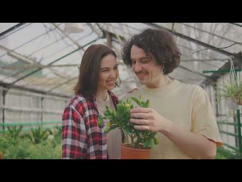 Expressing Love Daily 