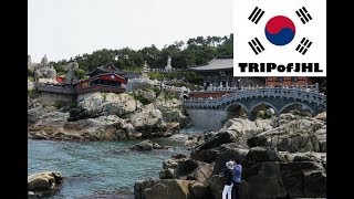 preview picture of video '[TRIPofJHL] Trip to Haedong Yonggung Temple in Busan'