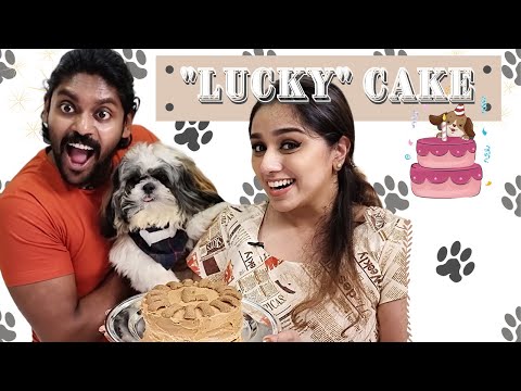 Lucky Cake | The Journey of a Dog Cake | Vlog |Vidhu Prathap |Deepthi Vidhu Prathap