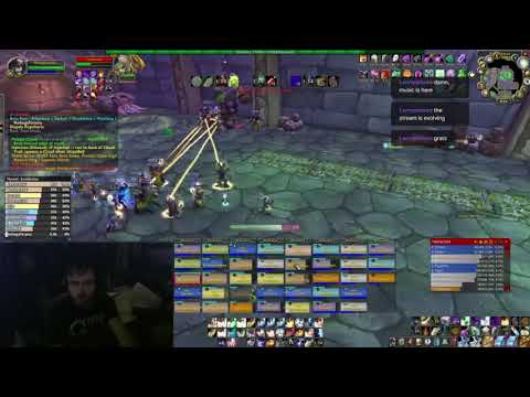 WoW Classic Naxxramas - Grobbulus - Holy Priest POV