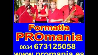 Formatie nunta, botez in Spania cu Formatia PROmania - asculti NASA, varianta romaneasca