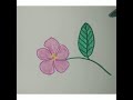 Periwinkle Drawing How To Draw Periwinkle Flower
