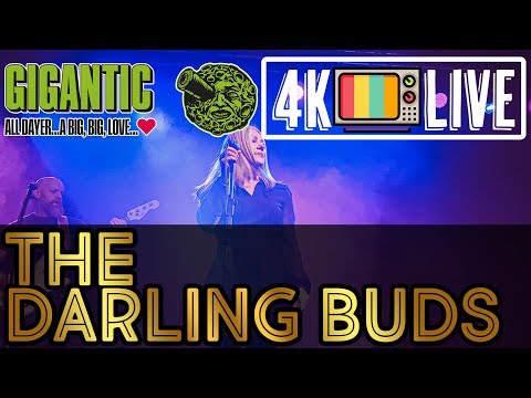 The Darling Buds - It makes no difference, live 4k Bristol 2025
