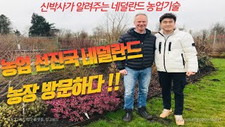 농업 선진국 네덜란드 ! 함께 즐겨요 ^^ / Daelim Nursery
