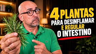 AS 4 PLANTAS QUE DESINFLAMAM E REGULAM SEU INTESTINO