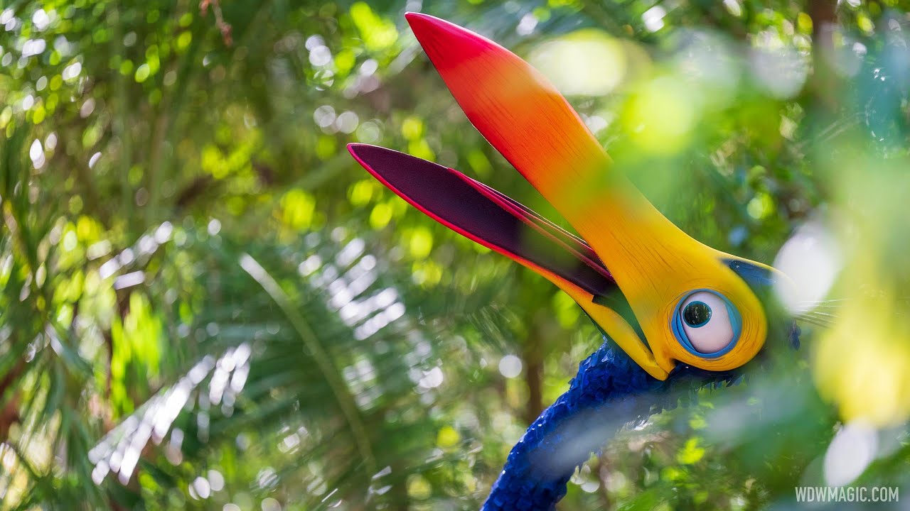 Kevin returns to Disney's Animal Kingdom