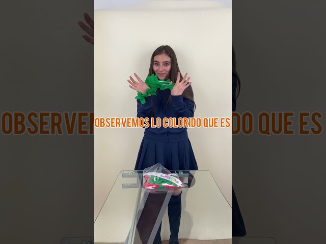 Vídeo relacionado con SilverChry Disfraz de Anime para Cosplay,Conjunto Cosplay Camisa y Corbata,Camisa Hawaiana Floral para Niños,para Carnavales,Fiestas y Actuaciones (FR/ES, Números, 120, Regular, Rosa)