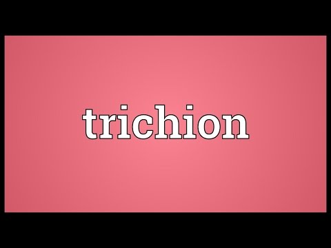 Trichion Meaning