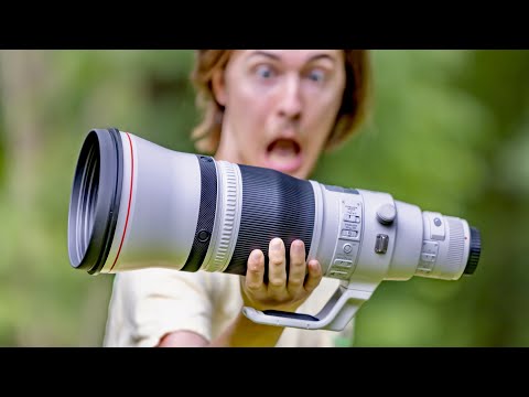 The Canon 600mm F4 III: The HOLY GRAIL of WILDLIFE – Is it WORTH the Price???