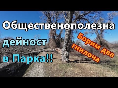 YouTube видео