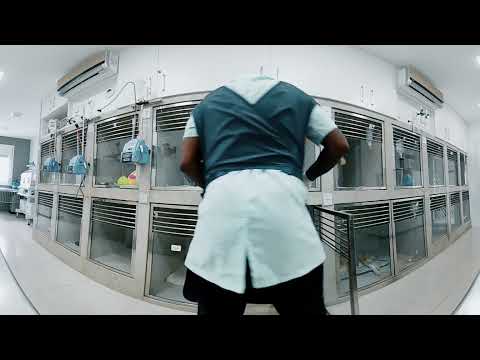 download lagu mp3 mp4 Semeve, download lagu Semeve gratis, unduh video klip Semeve