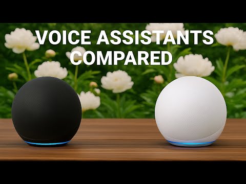 Echo Dot 5 vs 4 – Which One Is Worth It?