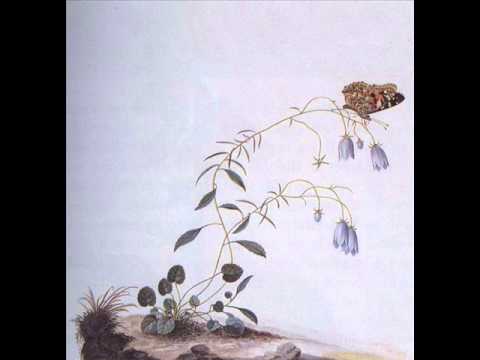 Botanist - I:The Suicide Tree/II: A Rose from the Dead [Full Album]