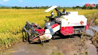 Download lagu KOMBI MAXXI BIMO XTREME 2.0 TAKLUKAN LUMPUR KAIBON MADIUN mp3 Download lagu KOMBI MAXXI BIMO XTREME 2.0 TAKLUKAN LUMPUR KAIBON MADIUN mp3