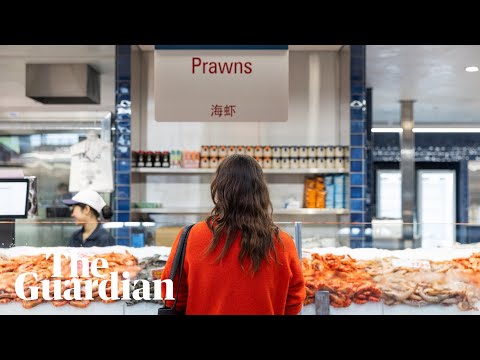 Sydney fish market 'smells cleaner' but prices 'way too high' as public get a first taste