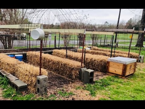 Setting Up A Straw Bale Garden-Let's Get Started