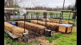 Setting Up A Straw Bale Garden-Let