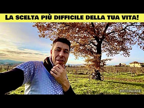 The hardest choice of your life!