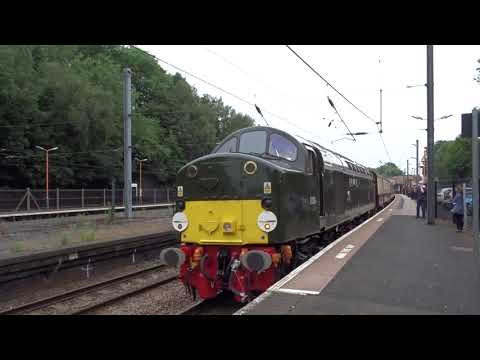 The Bristol Forty D213 Andania 1Z40