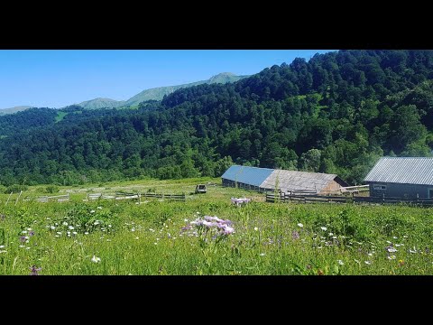 For Sale Agricultural Land, in Tsikhisjvari