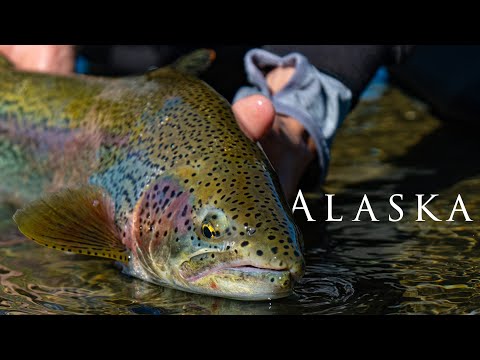Fly Fishing in Alaska
