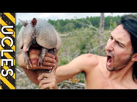 download lagu mp3 mp4 Armadillo Bite, download lagu Armadillo Bite gratis, unduh video klip Armadillo Bite