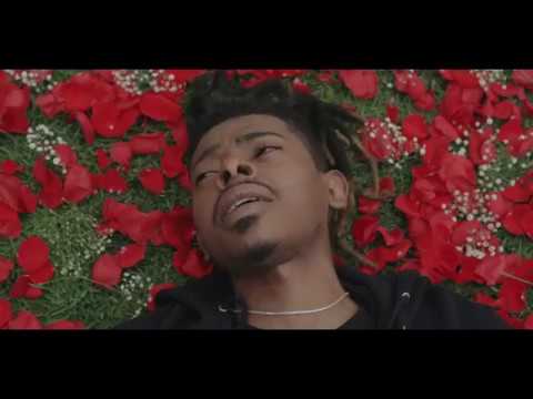 Flores - Morcego