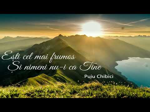 Album (14) Ești cel mai frumos - Puiu Chibici