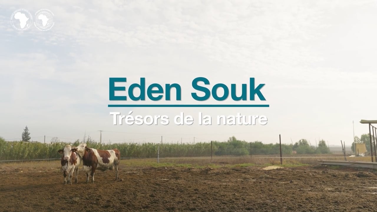 Maroc : Eden Souk valorise les produits du terroir grâce au développement durable